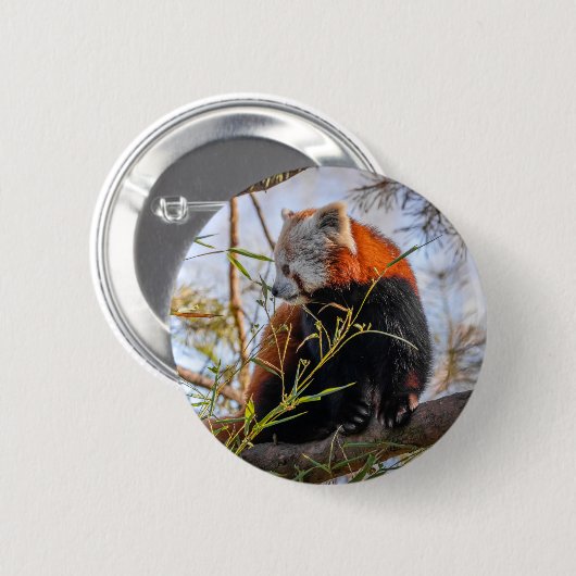 Rode panda ronde button 5,7 cm (Voorkant /achterkant)