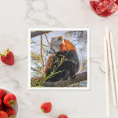 Rode panda servet (Insitu)