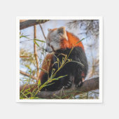 Rode panda servet (Voorkant)