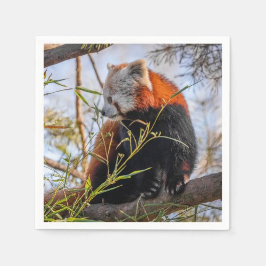 Rode panda servet (Voorkant)