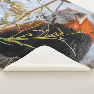 Rode panda sherpa deken