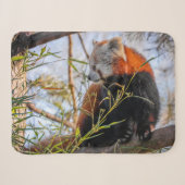 Rode panda sherpa deken (Voorkant (horizontaal))