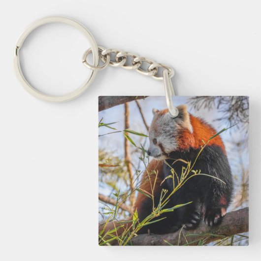 Rode panda sleutelhanger (Voorkant)