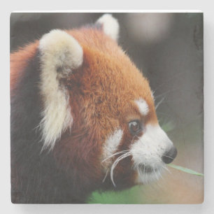 Rode panda stenen onderzetter