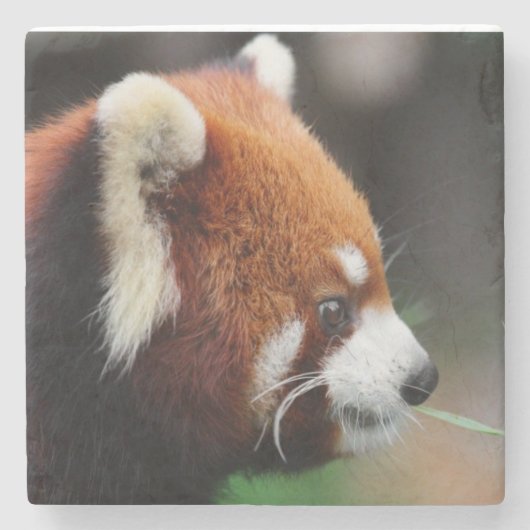 Rode panda stenen onderzetter (Voorkant)