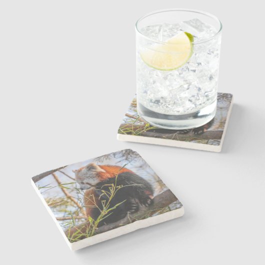 Rode panda stenen onderzetter (Zijkant)