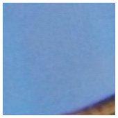 rode panda stof (Close Up)