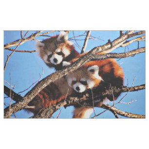 rode panda stof