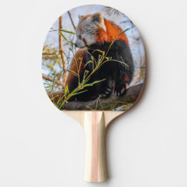 Rode panda tafeltennisbatje