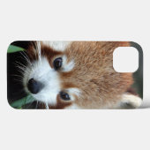 Rode panda, Taronga Zoo, Sydney, Australië Case-Mate iPhone Case (Achterkant (horizontaal))