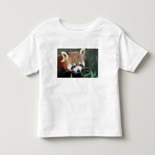Rode panda, Taronga Zoo, Sydney, Australië Kinder Shirts (Voorkant)