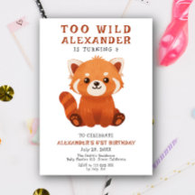 Rode Panda Te Wilde Verjaardagsfeestje