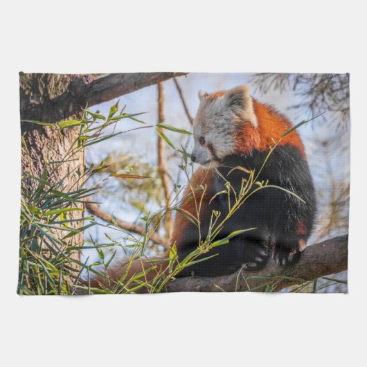 Rode panda theedoek (Horizontaal)