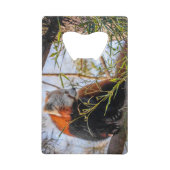 Rode panda-toets creditkaart flessenopener (Voorkant)