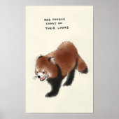 rode panda trivia poster (Voorkant)