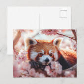 Rode panda tussen de kersenbloesems briefkaart (Voorkant / Achterkant)