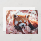 Rode panda tussen de kersenbloesems feestdagenkaart (Voorkant / Achterkant)