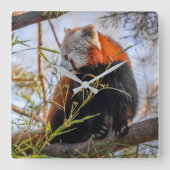 Rode panda vierkante klok (Voorkant)