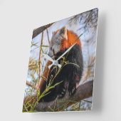 Rode panda vierkante klok (Hoek)