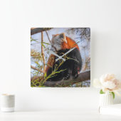 Rode panda vierkante klok (Huis)