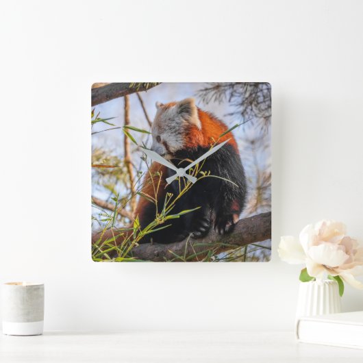 Rode panda vierkante klok (Huis)