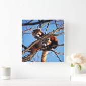 rode panda vierkante klok (Huis)