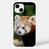 Rode panda wilde dier Case-Mate iPhone case (Achterkant)