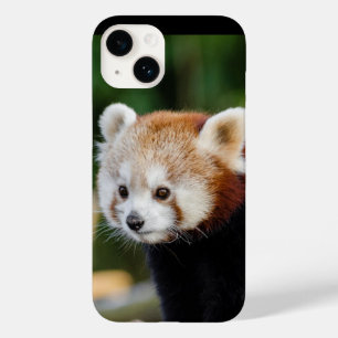 Rode panda wilde dier Case-Mate iPhone 14 hoesje