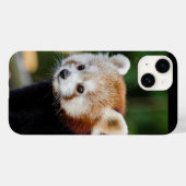 Rode panda wilde dier Case-Mate iPhone case (Achterkant (horizontaal))