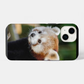 Rode panda wilde dier iPhone hoesje (Achterkant horizontaal)