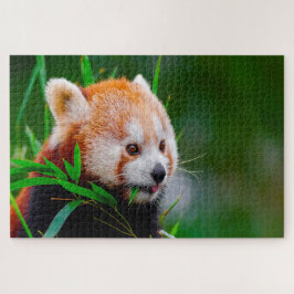Rode Pandaberen. Legpuzzel