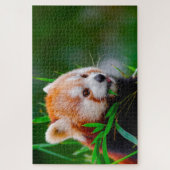Rode Pandaberen. Legpuzzel (Verticaal)