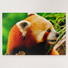 Rode Pandaberen. Legpuzzel