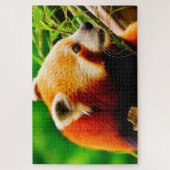 Rode Pandaberen. Legpuzzel (Verticaal)