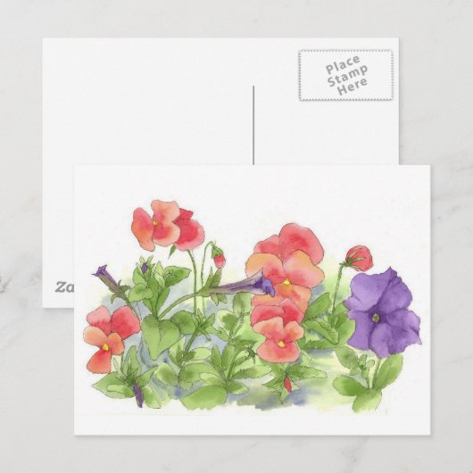 Rode Pansies Paarse Petunias Waterverf Bloemen Briefkaart (Voorkant / Achterkant)