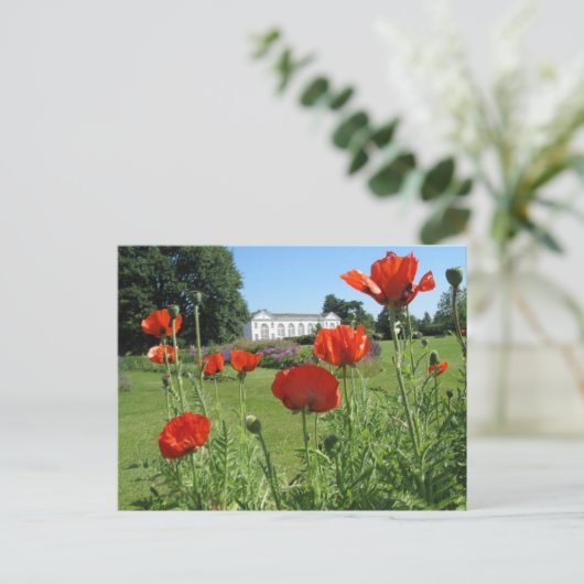 Rode papaver bij Kew-tuinen Briefkaart (Staand voorkant)