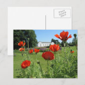 Rode papaver bij Kew-tuinen Briefkaart (Voorkant / Achterkant)