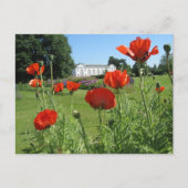 Rode papaver bij Kew-tuinen Briefkaart (Voorkant)