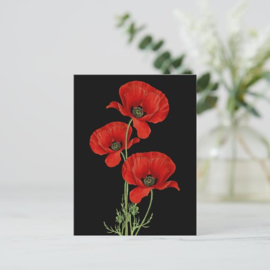  rode papaver botanisch briefkaart (Staand voorkant)