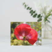 Rode papaver briefkaart (Staand voorkant)