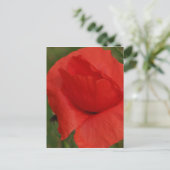 Rode papaver briefkaart (Staand voorkant)