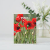 Rode papaver briefkaart (Staand voorkant)