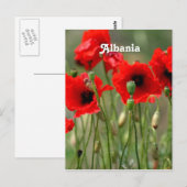 Rode papaver briefkaart (Voorkant / Achterkant)