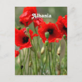 Rode papaver briefkaart (Voorkant)