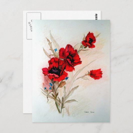 Rode papaver briefkaart (Voorkant / Achterkant)