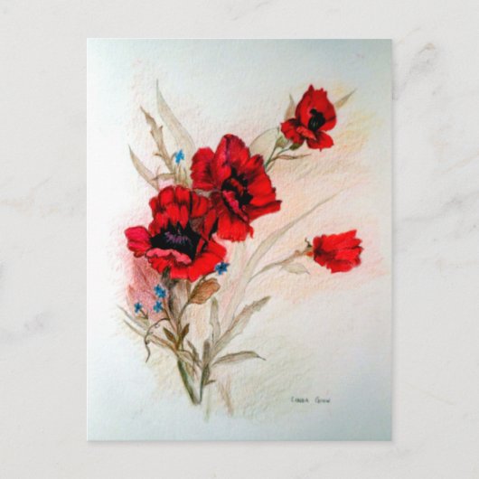 Rode papaver briefkaart (Voorkant)