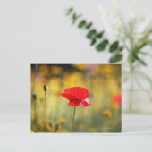 Rode papaver briefkaart (Staand voorkant)