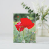 rode papaver briefkaart (Staand voorkant)