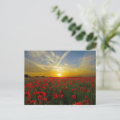 Rode papaver briefkaart (Staand voorkant)