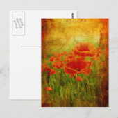 Rode papaver  briefkaart (Voorkant / Achterkant)